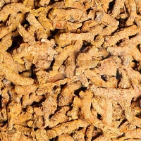 Dried Turmeric Fingers